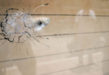 How does the “Vía Atlixcáyotl Shooter” operate? Puebla’s SSP identifies the attacker’s new modus operandi.