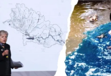 Industries in Puebla and Tlaxcala fined 56 million pesos for discharges into the Atoyac River