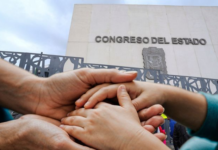 They seek to strengthen adoption processes with a new Technical Council in Puebla