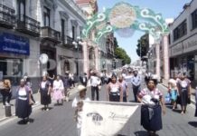 “We Are Still Here, Alive and Resisting”: Indigenous Peoples March in Puebla