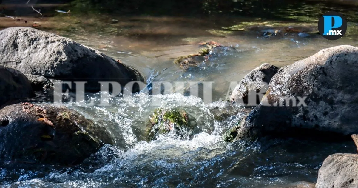 Collectives from Puebla and Tlaxcala demand a halt to pollution in the Upper Atoyac.